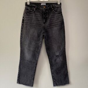 Loft The Curvy Gray Distressed Crop Jeans Size 29/8